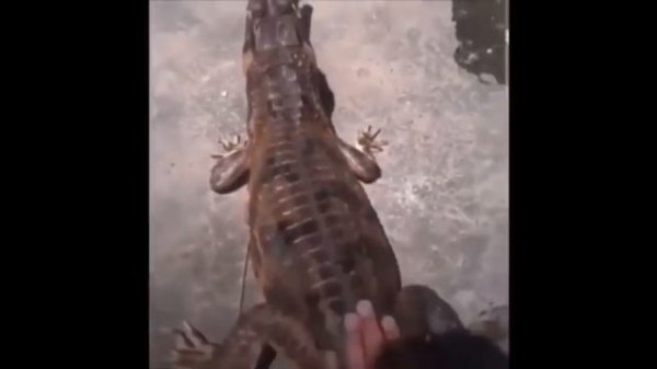 WebM Compilation№2