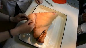 Практическое обучение по специальности Ветеринария