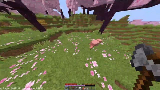 Minecraft Public LifeSteal SMP Live | Join Our Lifesteal SMP | Minecraft смотреть онлайн