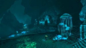 Skyrim SE: Змеиный Зуб ➤ Новый Остров ➤ Квесты ➤ Оружие ➤ Доспехи ➤ Пасхалки