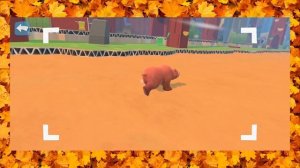 ? ГРИЗЛИ ? | ApplayDu Kinder Natoons прохождение