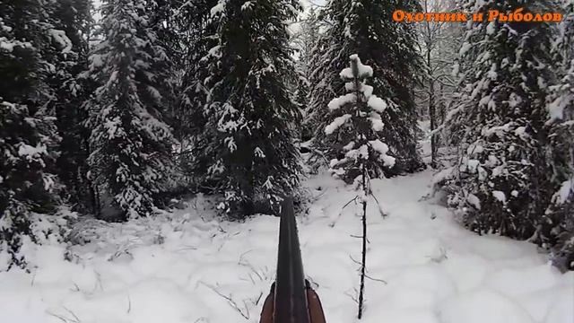 Лучшая подборка охоты на лося смотреть онлайн