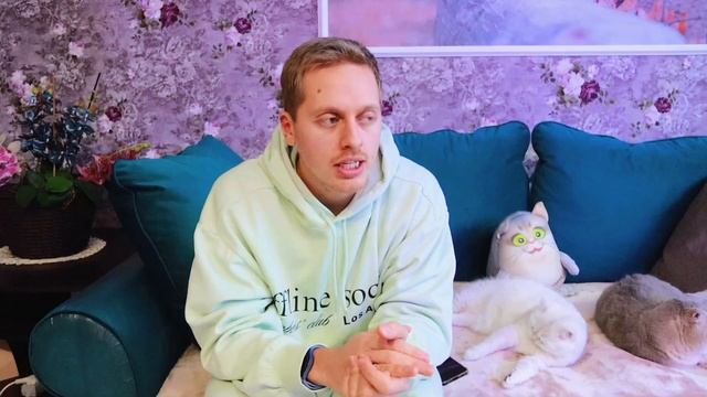 Вакцинация котят и кошек! Подготовка и осложнения после прививки. Гельминтоз? Какие вакцины выбрать смотреть онлайн