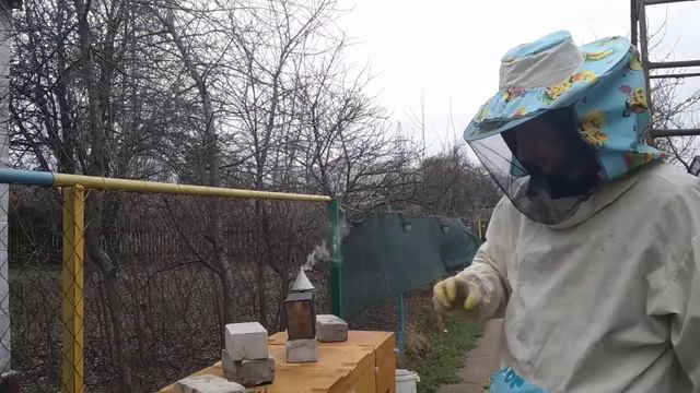 Зимний расплод, осмотр после ревизии 22.01.2020 смотреть онлайн