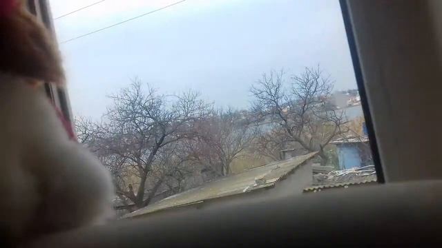 Как я хожу гулять на улицу ☺ смотреть онлайн