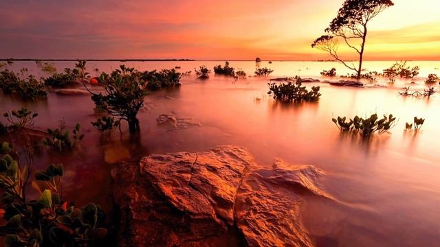 Полна чудес могучая природа смотреть онлайн