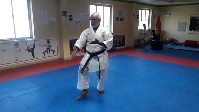 Bassai Dai Kata SHITORYU Performed by Hanshi V. SASIDHARAN смотреть онлайн