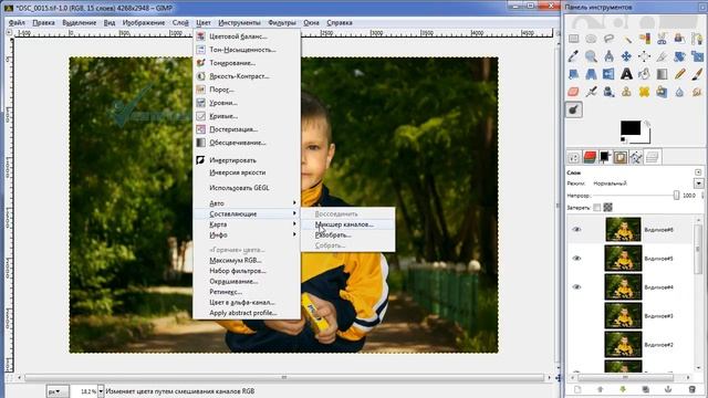 Обработка фотографии GIMP уроки. Обработка RAW! UFRAW+GIMP