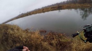 СПИННИНГ за 35 ТЫСЯЧ! | Есть ли смысл в ДОРОГИХ СНАСТЯХ? | ОБЗОР Graphiteleader Vivo