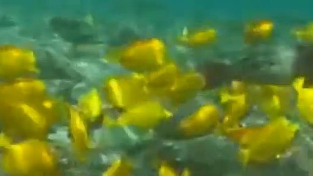 Природа море . смотреть онлайн