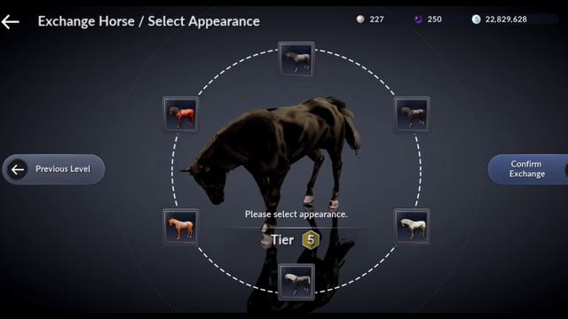 Tier 5 Horse MAX TIER Appearance And how to obtain / Black Desert Mobile смотреть онлайн
