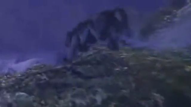 WOW Intro