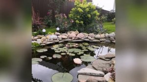 22 июля. Роза Эмильен гийо, ла рейн виктория, коко локо, Роберт уинстон, Марк антуан шарпантье