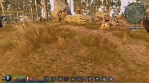 Will To Live Online. Сокровища Побережья. №2