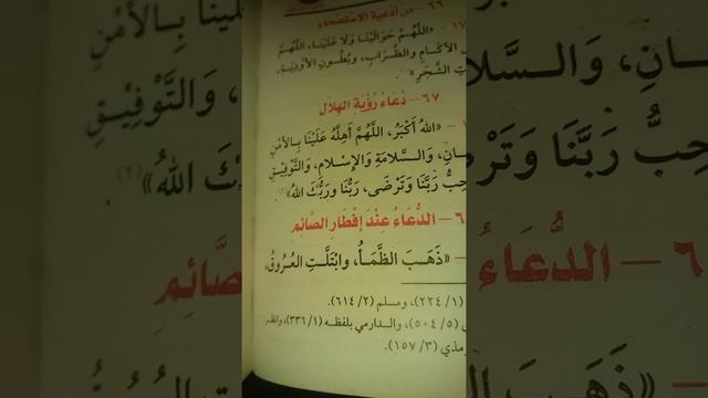 hassimiou diallo смотреть онлайн