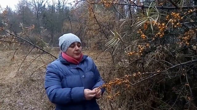 Мода и Стиль