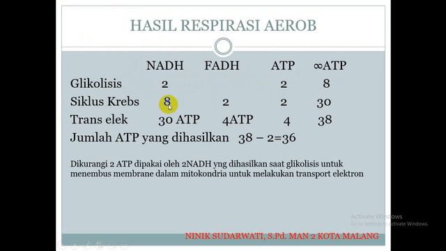 METABOLISME KATABOLISME смотреть онлайн