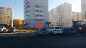 поездка на автобусе паз 32054 (40, Ко, Но, L0) (2016 г.в), р256ур174, маршрут 22