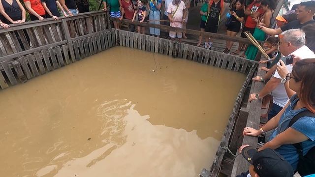 Экскурсионная рыбалка на Арапайму на Амазонке