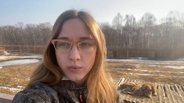 Кристина отвечает на Ваши вопросы! Как львята вольются в прайд и примет ли их мама? ПАРК БЕЛЫЙ ЛЕВ смотреть онлайн