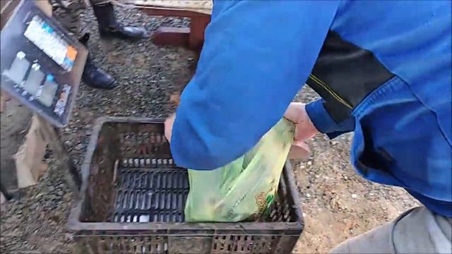 ПЕРВЫЙ ПЕРВОМАЙСКИЙ НОЧНОЙ УЛОВ КАРПА, Клёвое место Савельево смотреть онлайн