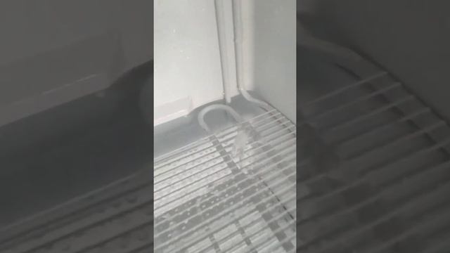 ДЛЯ ЧЕГО ЕЩЁ НУЖНА БЕСКОНТАКТНАЯ МОЙКА ЛАЙФХАК ? смотреть онлайн