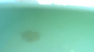 Отдых в Турции июнь 2017. Аланья-Авсалар. Отель Озкаймак Резорт 5*. Тез Тур.