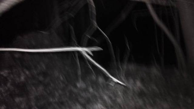 Ночной поход на геокешинговый тайник тайник 