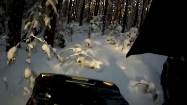 Пробка в лесу смотреть онлайн