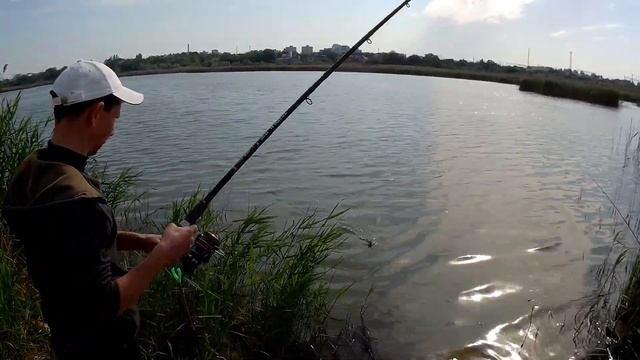 КАРАСЬ ПОШЕЛ! Бесплатная рыбалка на БОЛОТЕ возле Куяльницкого лимана 2023, Одесса смотреть онлайн
