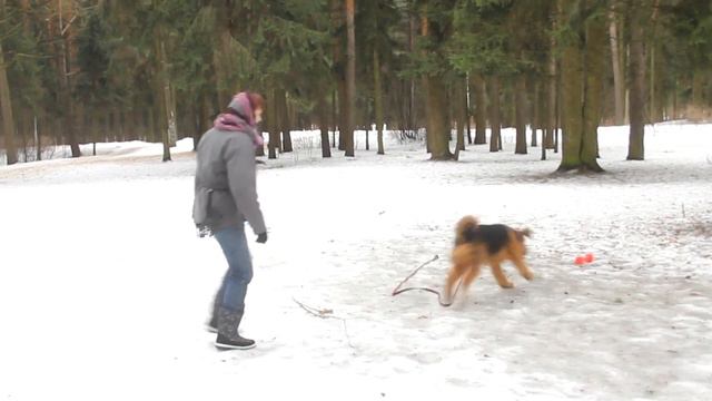 Как мы с Яшичем учились рядовости:-)