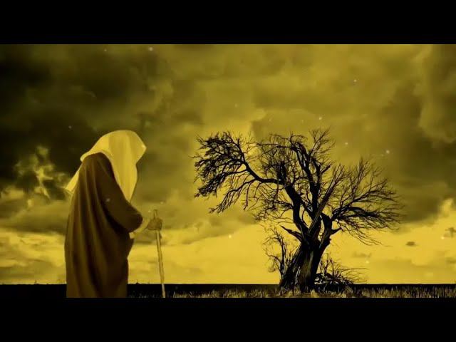 Деяние которое смывает все грехи .