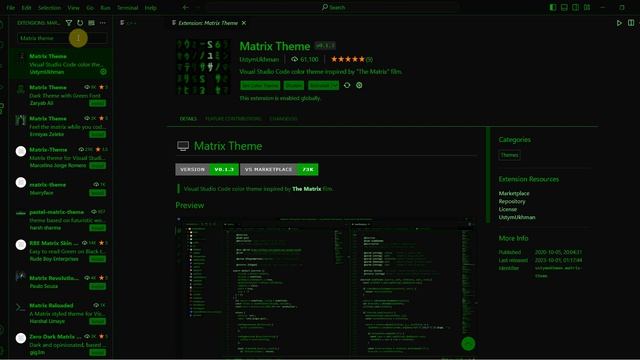Hacker Theme for VS Code | Theme | VS Code Theme | Expert's Hub смотреть онлайн