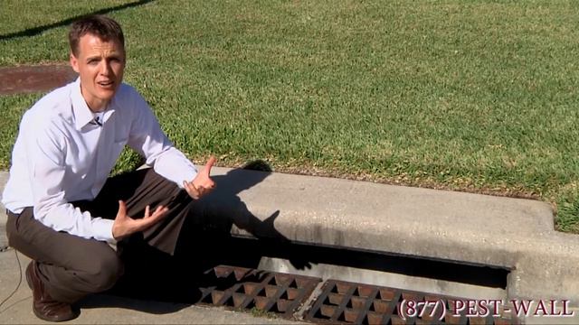 How Roaches Infest Homes - Roach Control Bulwark Exterminating смотреть онлайн
