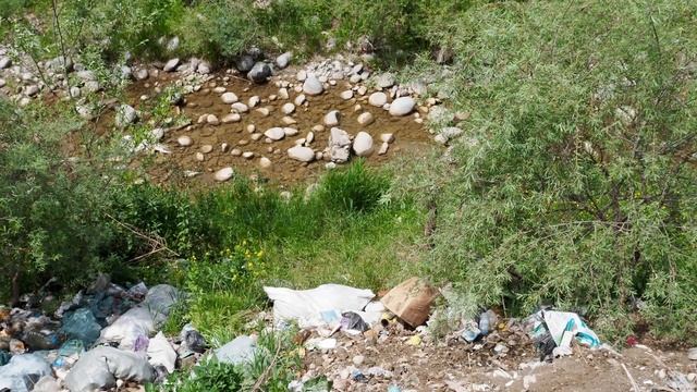 Стихийная свалка в селе Кызыл (Арал)_1