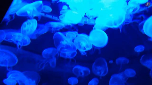 Музыка для Отдыха # 2 смотреть онлайн