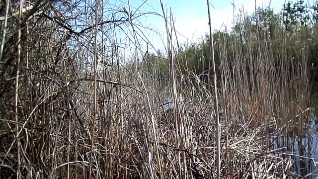 Те що насправді лікує !