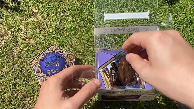 The Noble Collection Harry Potter Chocolate Frog Unboxing смотреть онлайн