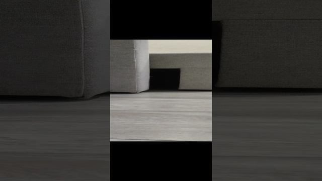 /скример/ Кот Лео