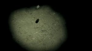 Ария -Осколок льда