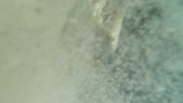 Catch and Cook from ISOLATION - Uninhabited Island Paradise! Sailing Vessel Delos Ep. 272 смотреть онлайн