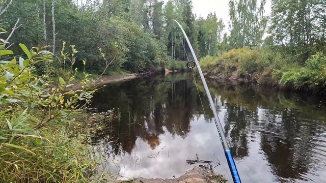 Открытие охоты на боровую дичь. Рыбалка на озере. смотреть онлайн