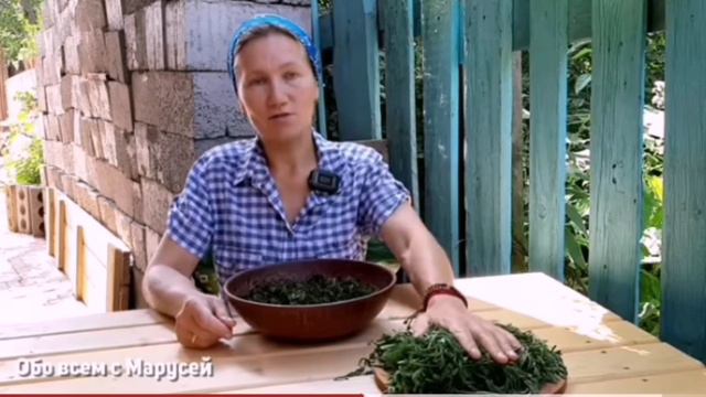 Не выбрасывай морковную ботву, сделай полезный чай смотреть онлайн