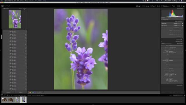 TOPAZ GIGAPIXEL AI: New Feature (Launch as a LIGHTROOM & PHOTOSHOP PLUGIN) смотреть онлайн