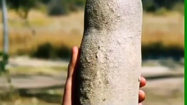 Необычные плоды деревьев. смотреть онлайн