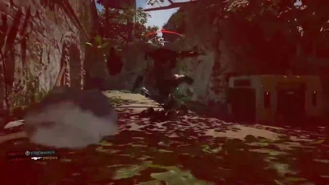 Black Ops 4 Solo смотреть онлайн