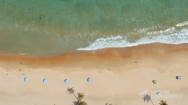 Playa Grande. Choroní. Venezuela. смотреть онлайн