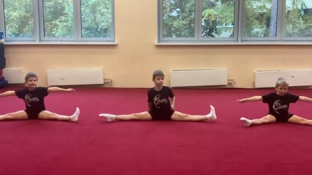 Д2 Партерная Гимнастика