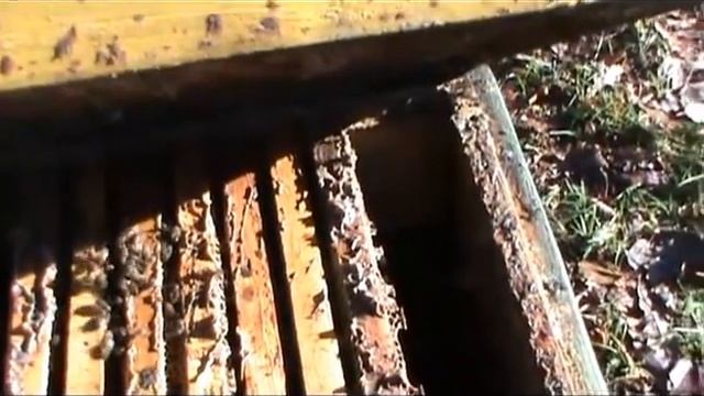 Подготовка пчел к зиме видео смотреть онлайн