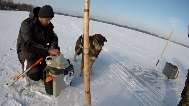 Рыбалка на гирлянду. Техника и тактика ловли синца. Часть 2. смотреть онлайн
